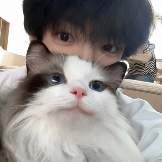 电子狂潮｜节奏里的态度突围