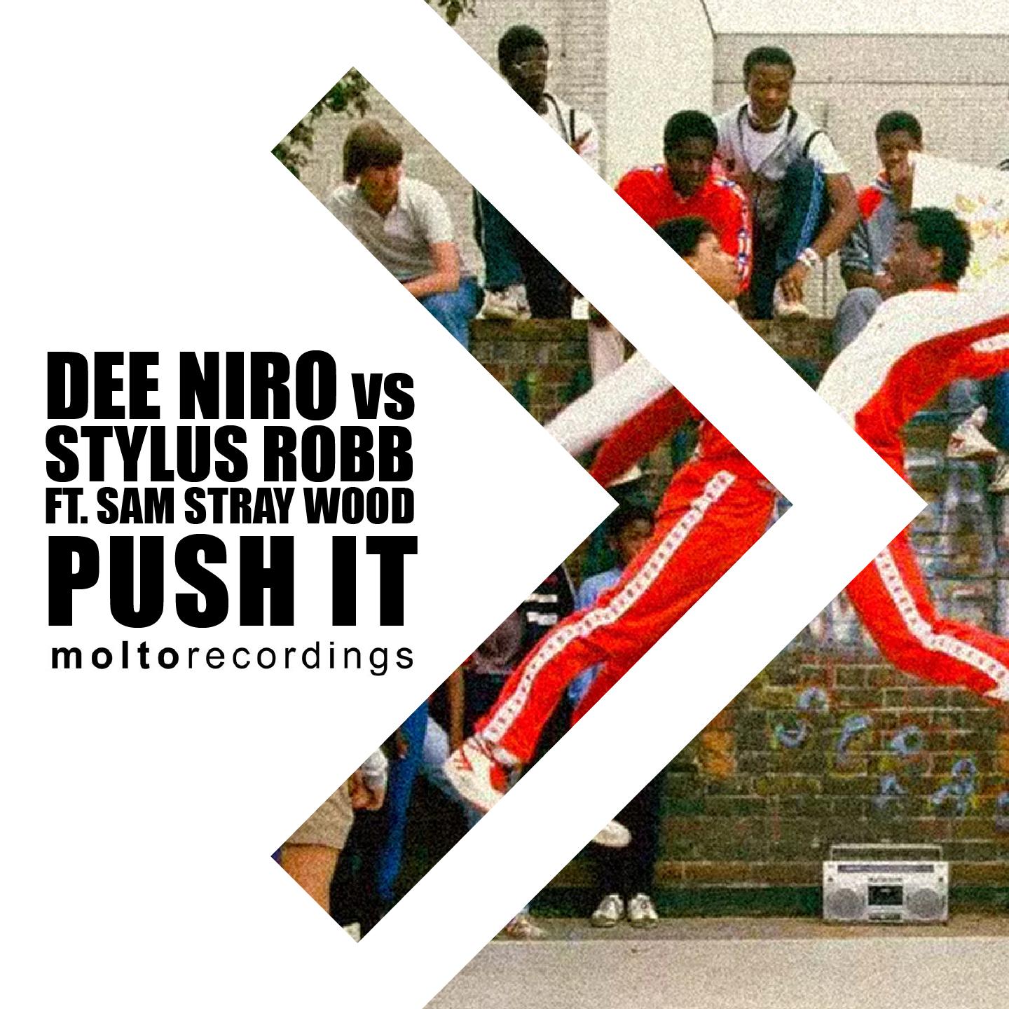 Dee Niro - Push It