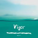 Vigor(Original Mix)