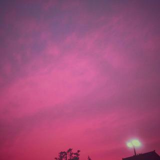 [电音&人声]洗脑神曲：震撼的电音人声！