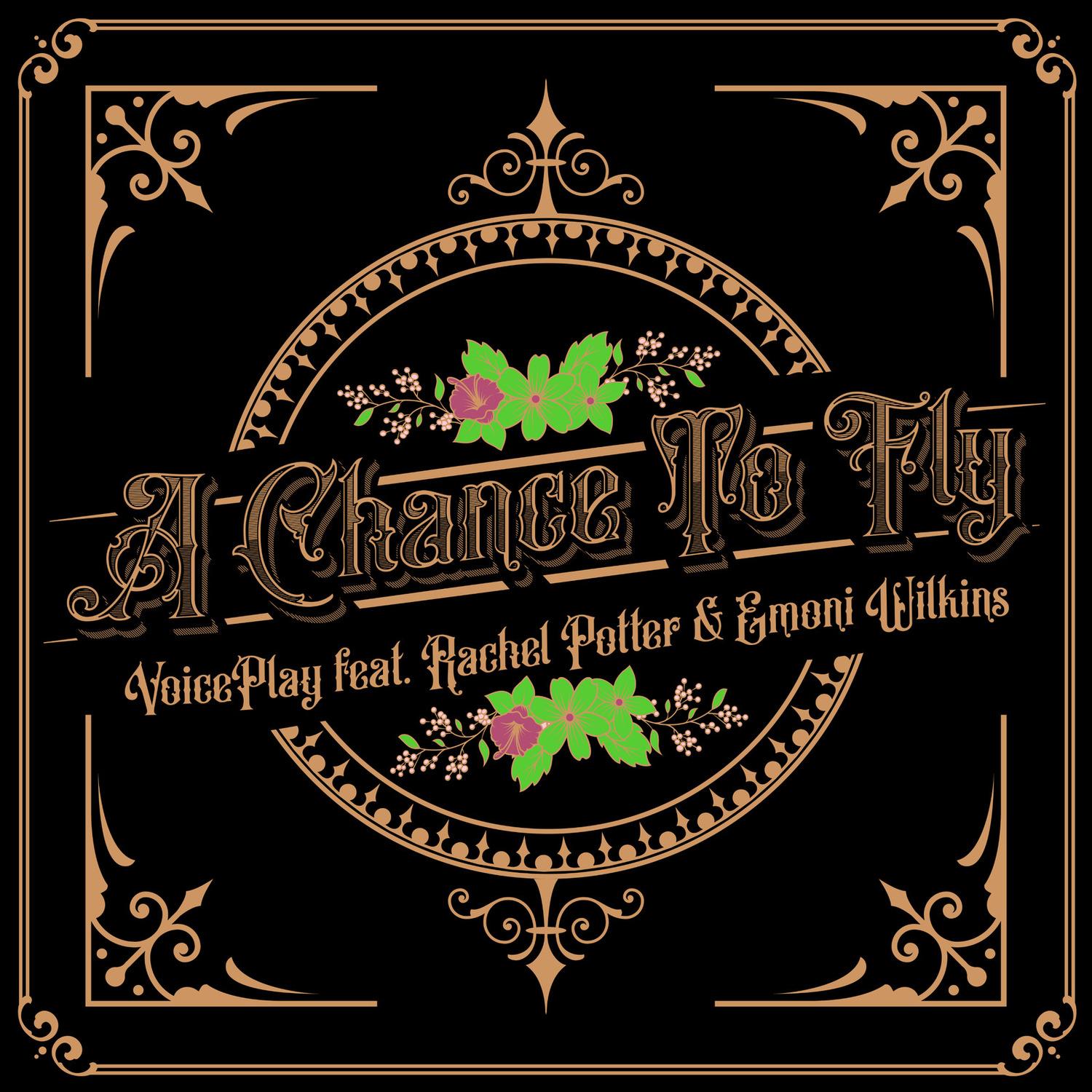 A Chance to Fly