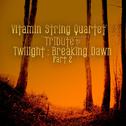 Vitamin String Quartet Tribute to Twilight Breaking Dawn Part 2专辑