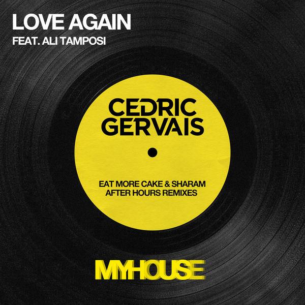 Love Again (Sharam Acid House Remix)