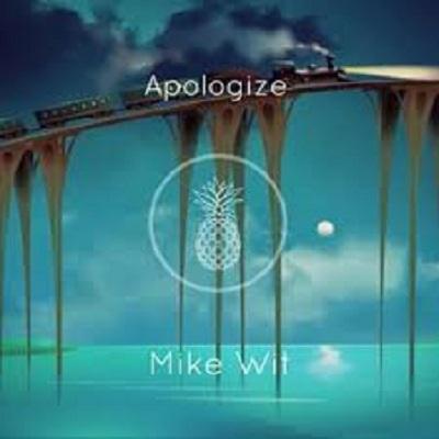 Mike Wit - Apologize (Mike Wit Remix)