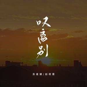 赵政豪、苏星婕 - 叹离别 (说唱版) （降6半音）