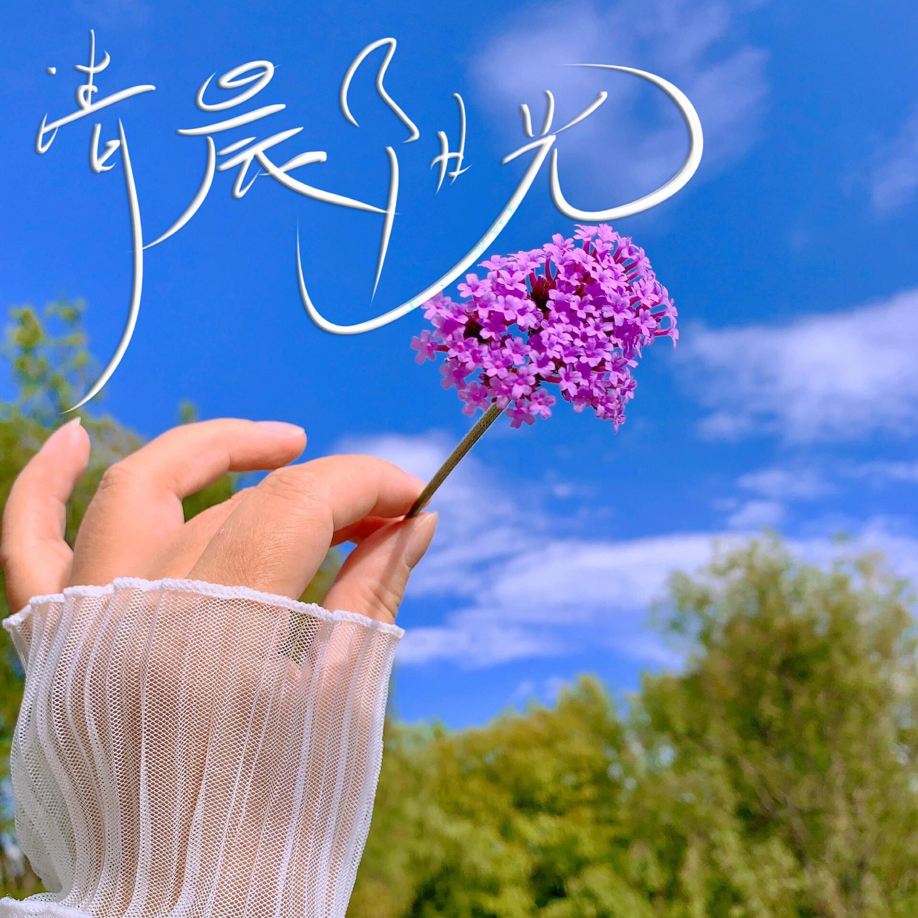 清晨阳光（纯音乐）