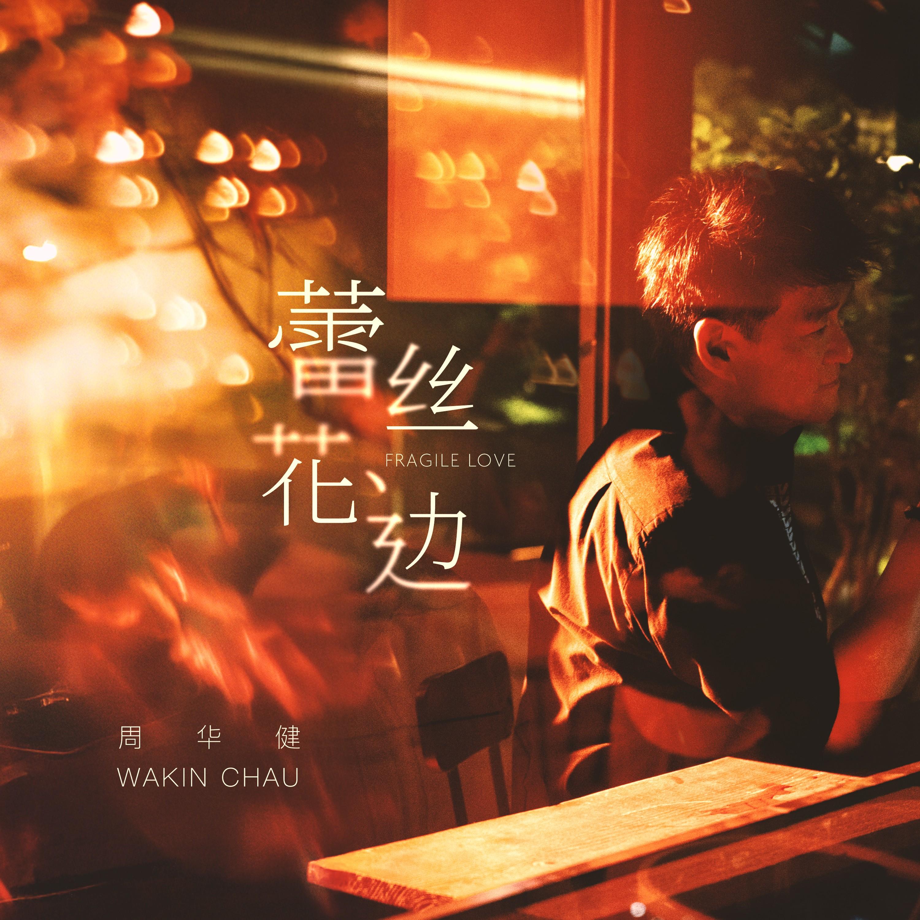 蕾丝花边专辑