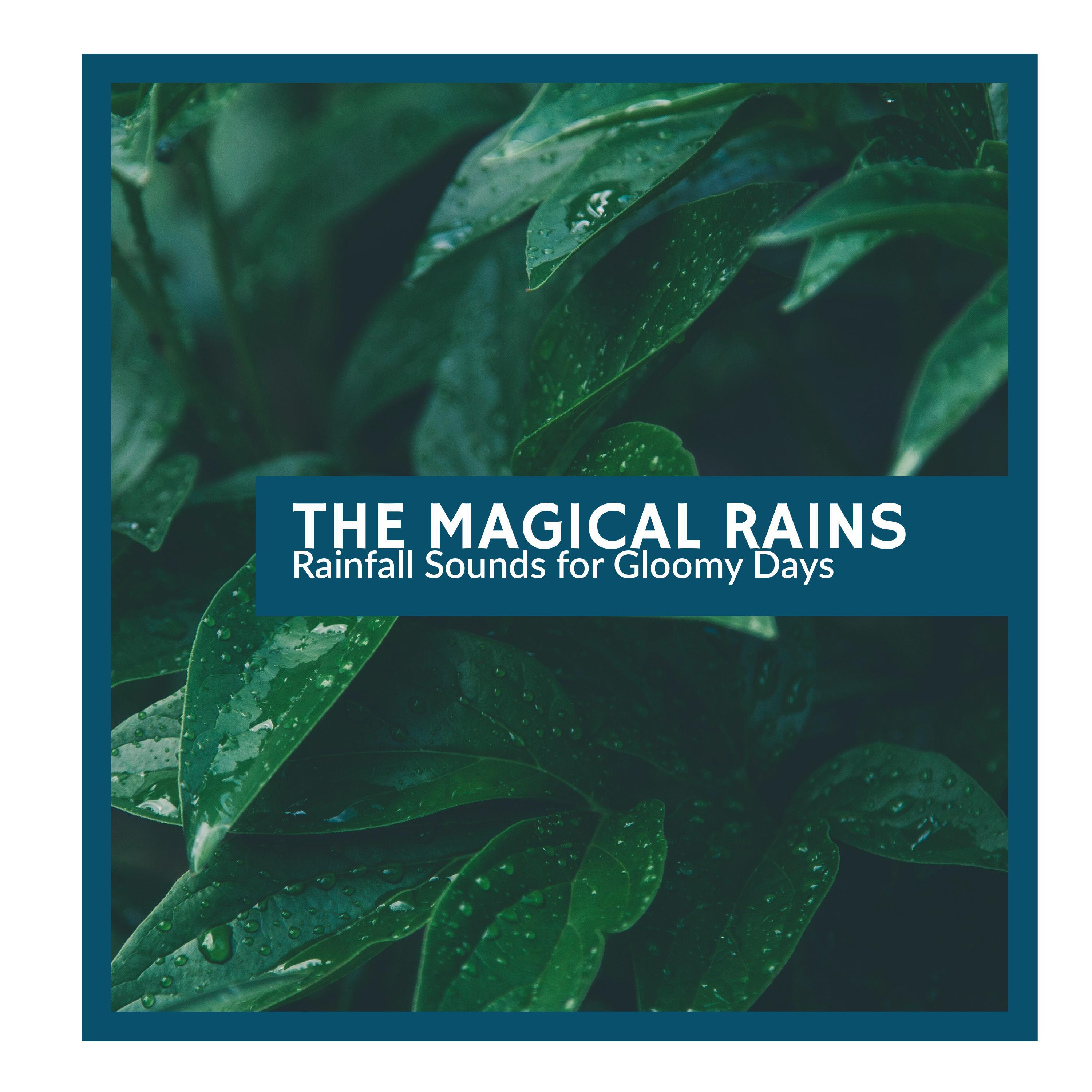 Grooming Rain Melodies - Rain of Love