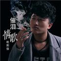 催泪情歌 (DJ何鹏版)