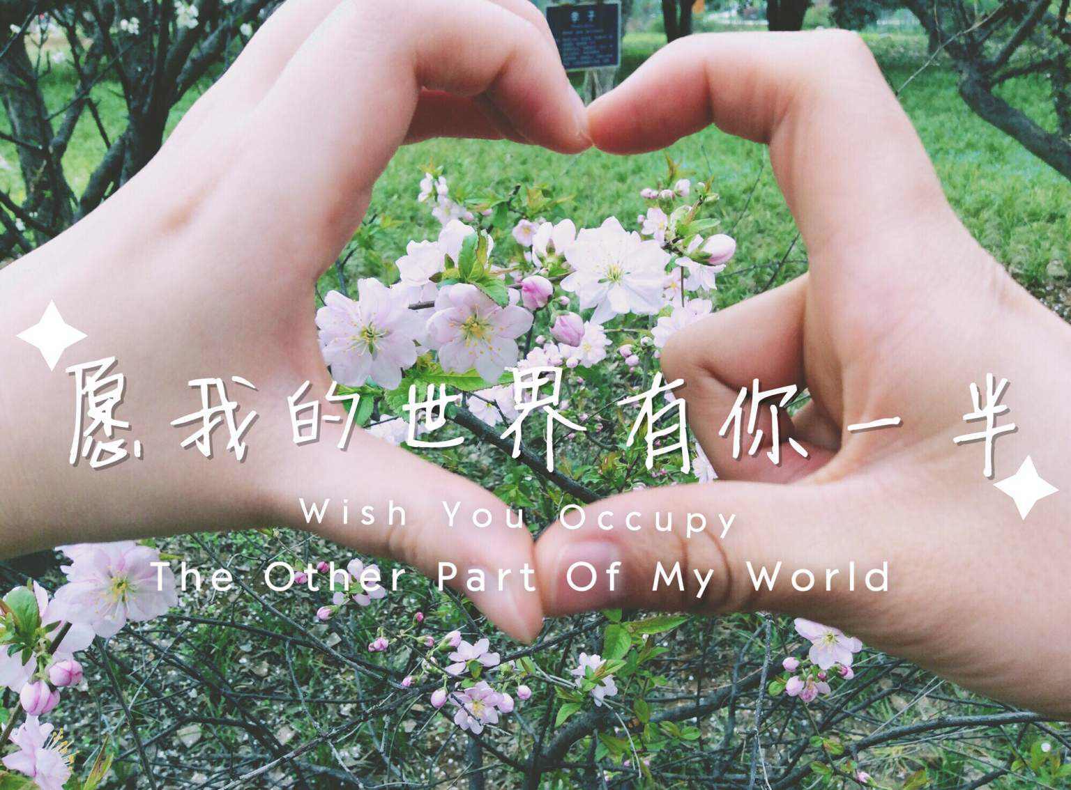 只是朋友专辑