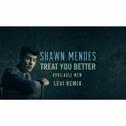 Treat You Better (Levi Remix)专辑