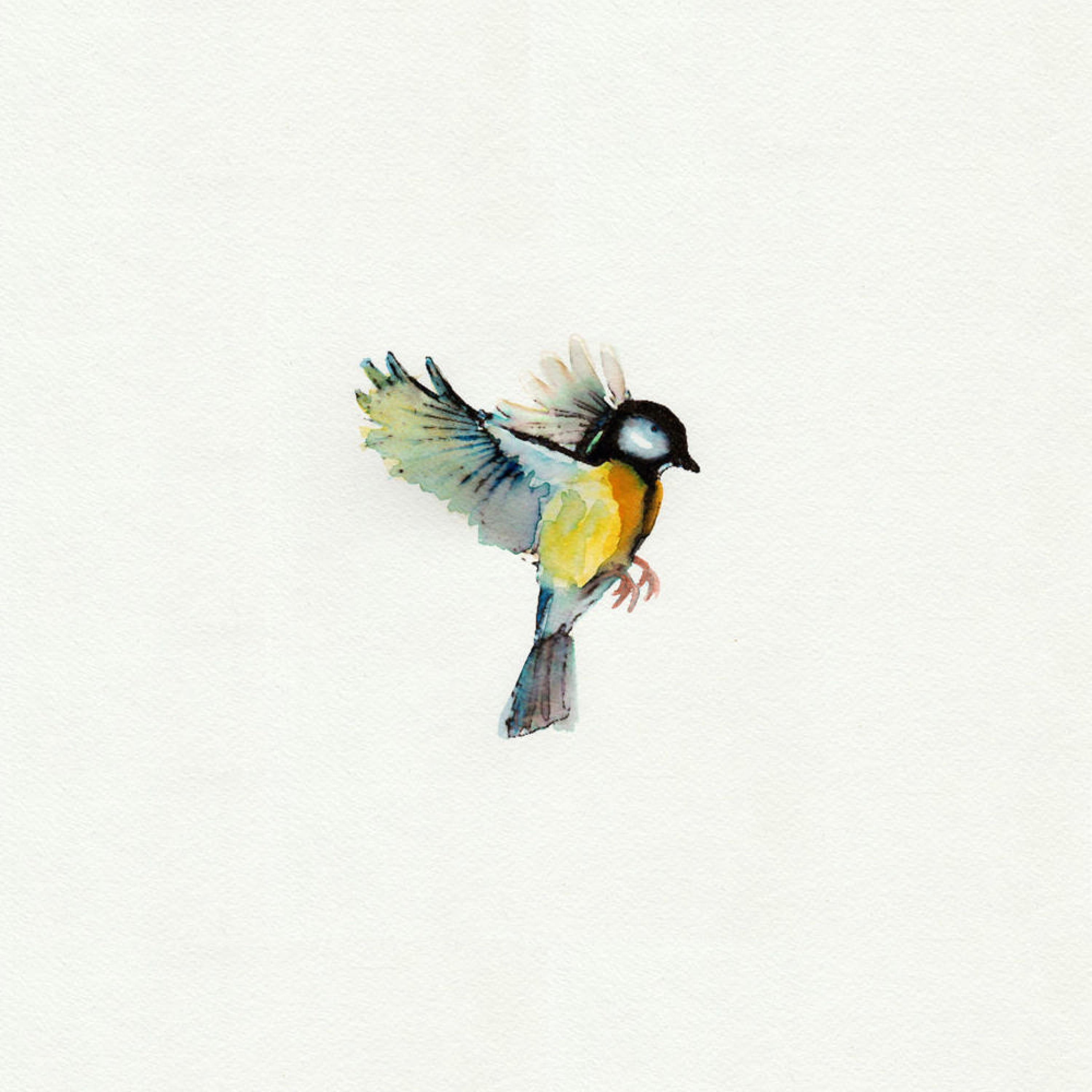 FLY (feat. GLITCH)