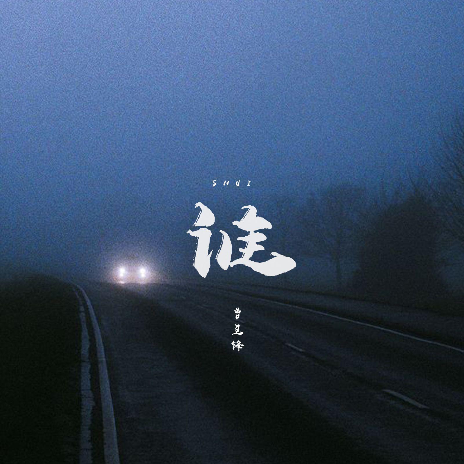 曾至锋 - 谁 (DJ阿福 Remix)