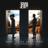 Jonas Blue - What I Like About You (feat. Theresa Rex) (Filtered Instrumental) 无和声伴奏