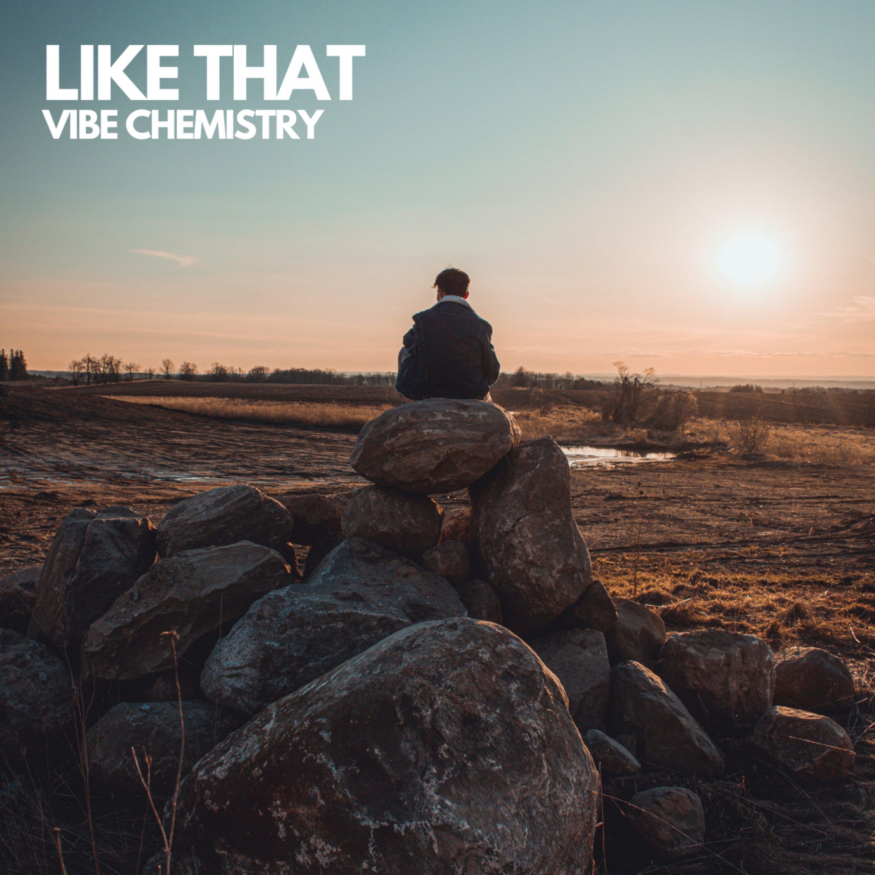 Vibe Chemistry - Like That