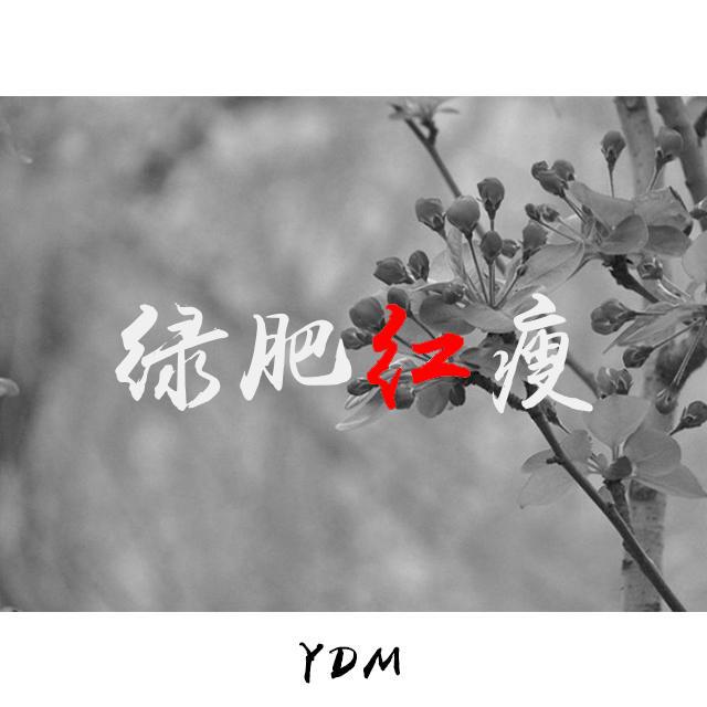 绿肥红瘦(Original Mix)专辑