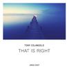 Tony Colangelo - That Is Right (Original Mix)