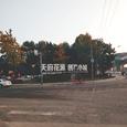 再见花源