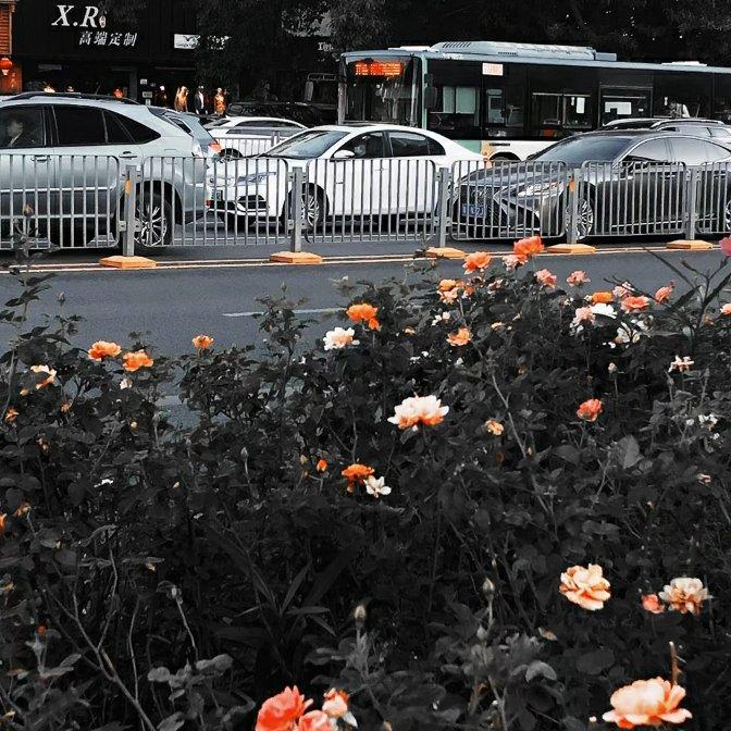 人鱼的眼泪(钢琴版)