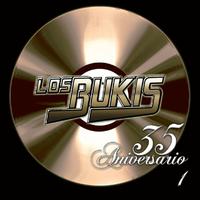 原版伴奏   Los Bukis - Necesita De Ti (karaoke)