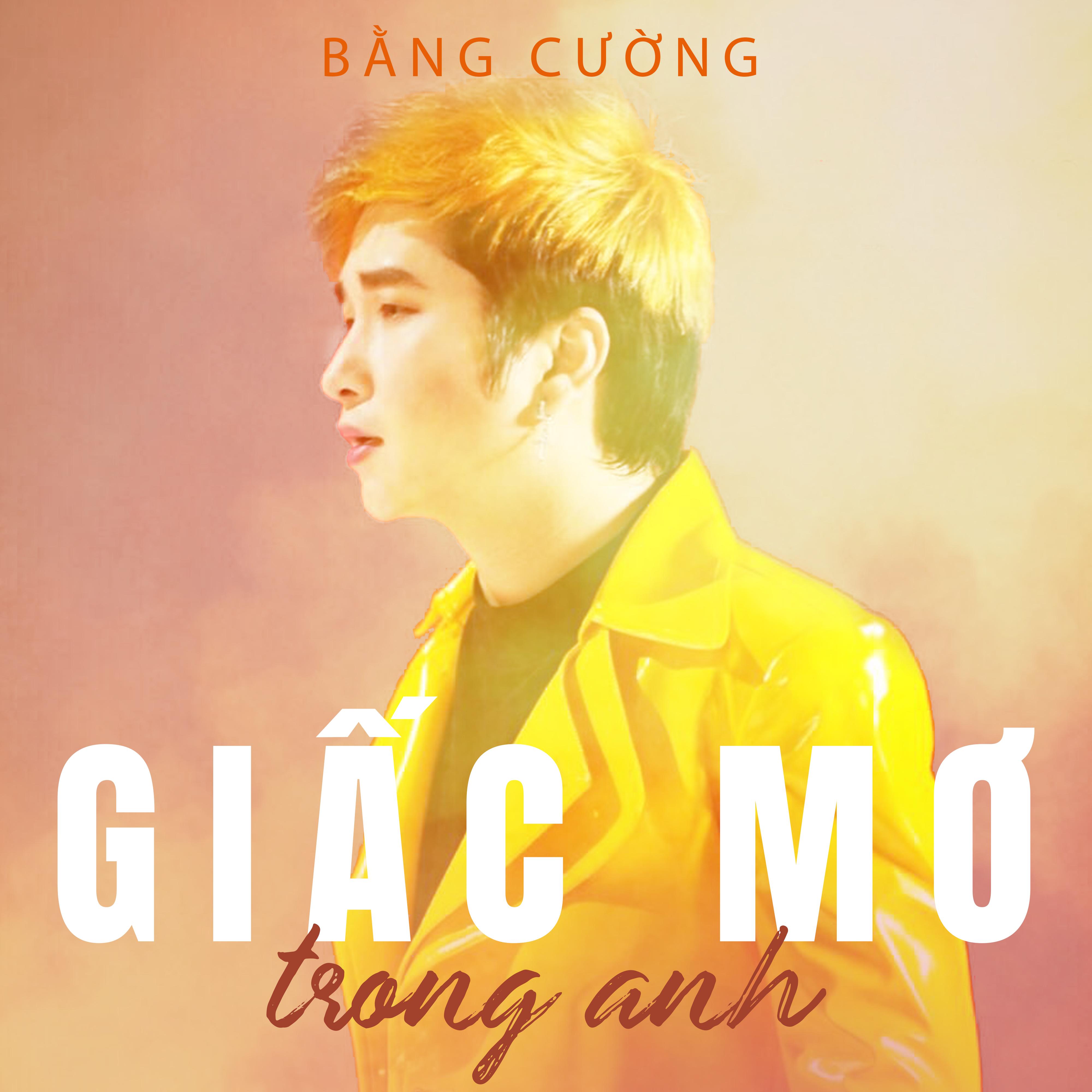 Giấc mơ trong anh (vol 12)