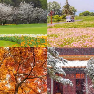 【治愈系】如果你也喜欢四季为主题的纯音乐