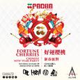 PACHA MACAU: CHINESE NEW YEAR PARTY  (LIVE DJ SET)