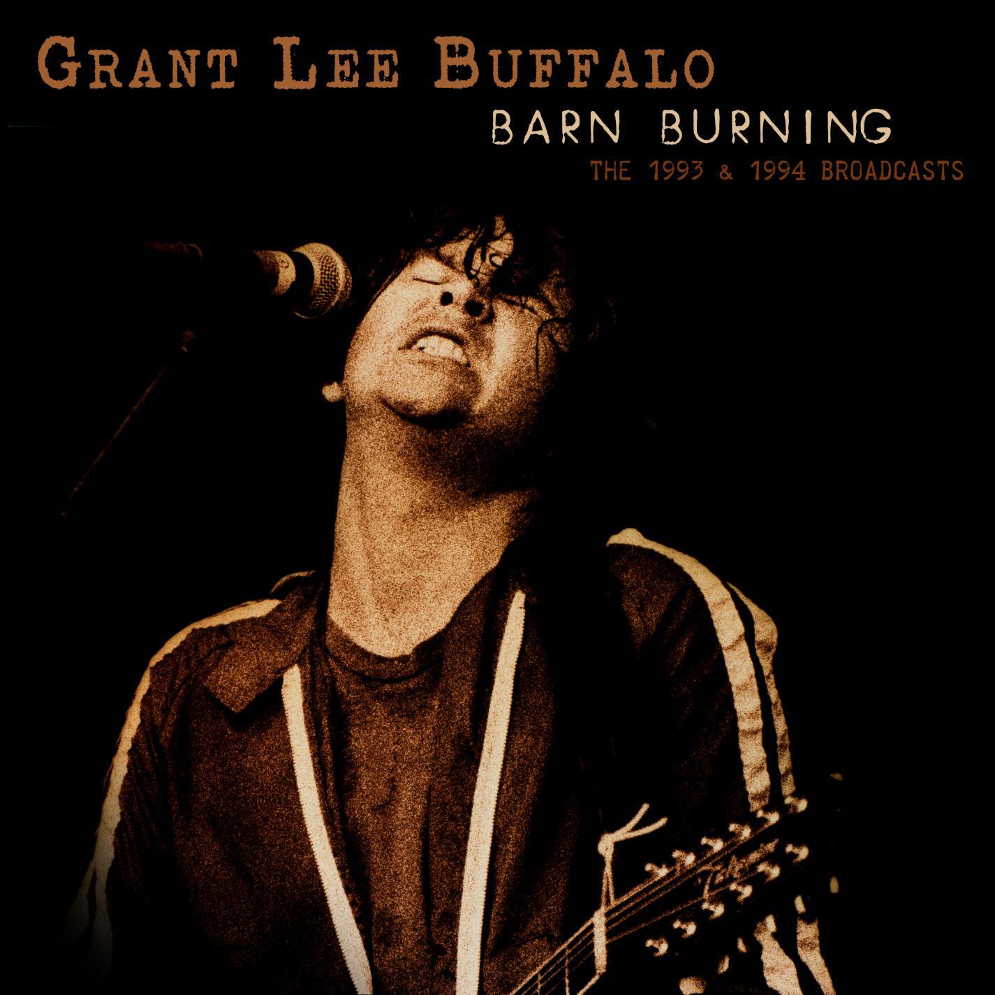 Grant Lee Buffalo - Soft Wolf Tread (Live at Glastonbury 1993)