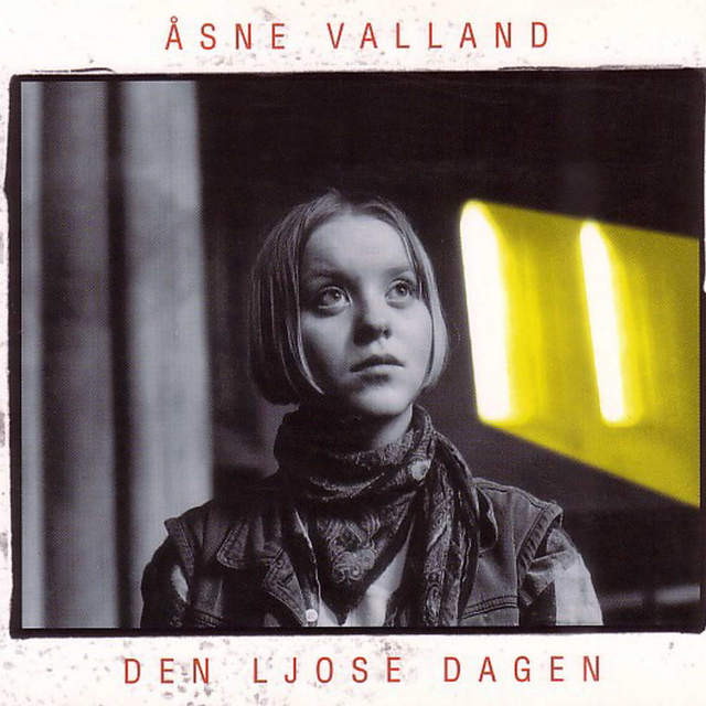 Den Ljose Dagen
