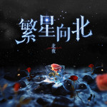 繁星向北专辑