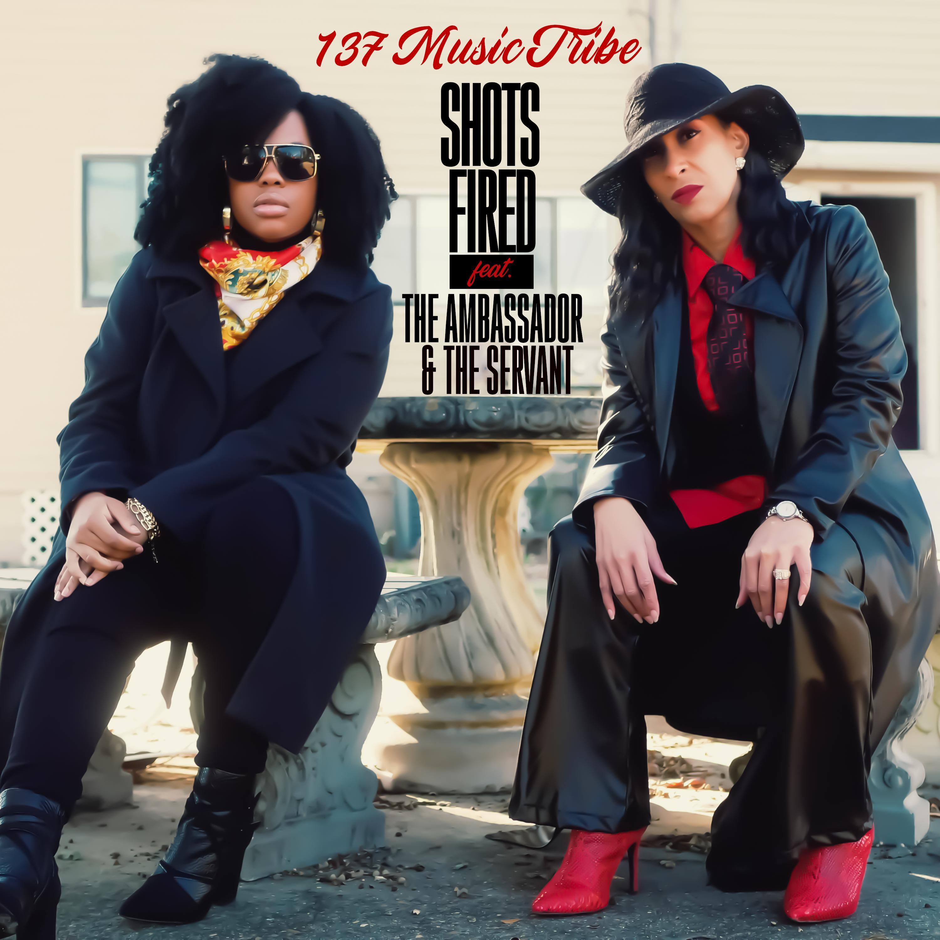 Shots Fired (feat. The Ambassador & The Servant)