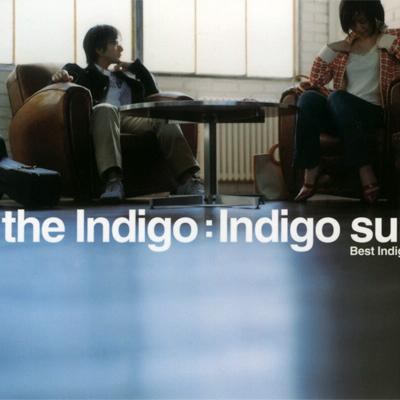The Indigo - Pain