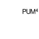 PUM4-beats专辑