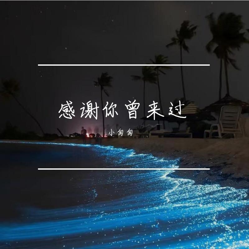 感谢你曾来过