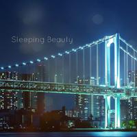 sleeping beauty(睡公主英文版)
