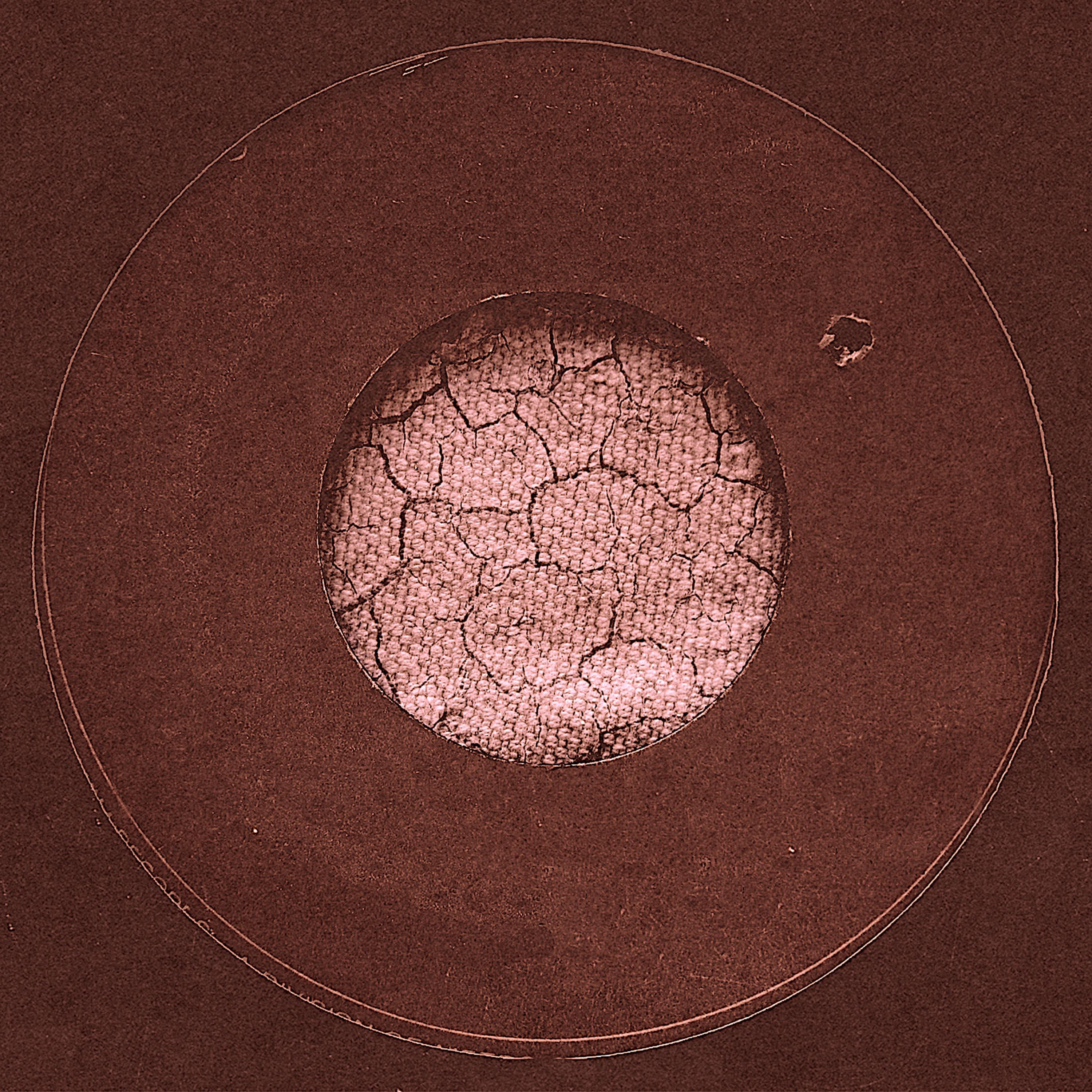 Childhood Sweetheart