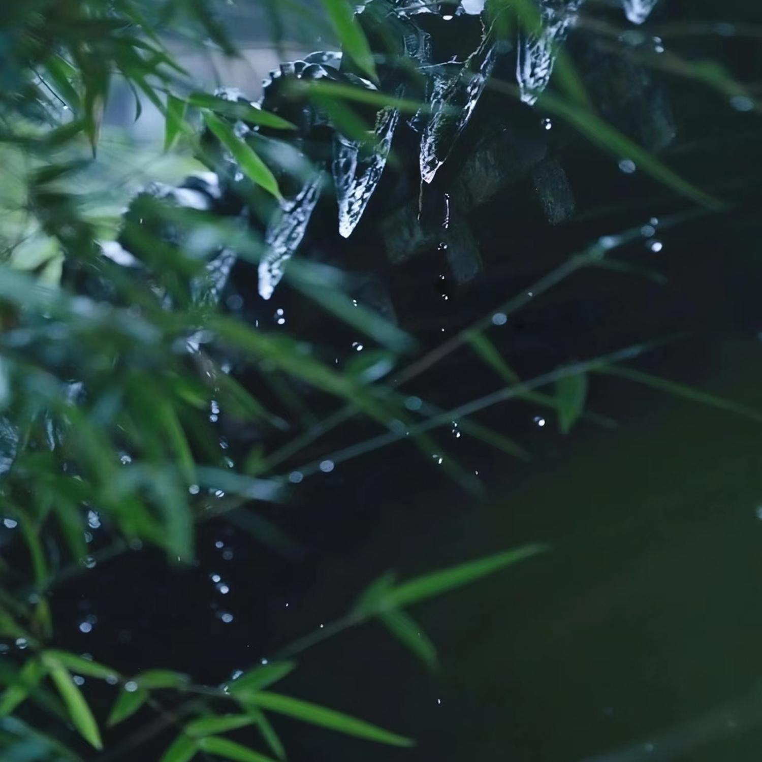山听雨