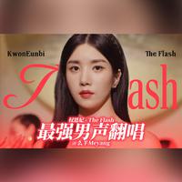 （权恩菲）The Flash – Inst.