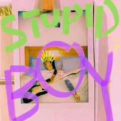 Stupid Boy