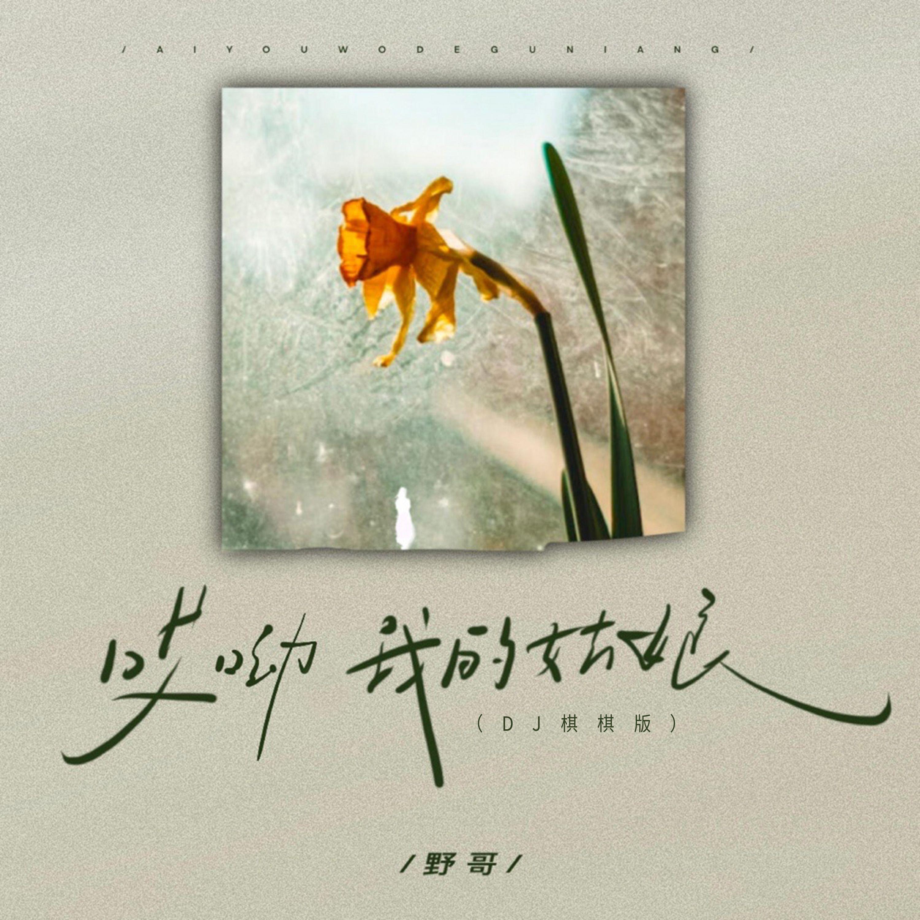 哎呦我的姑娘（DJ棋棋版）