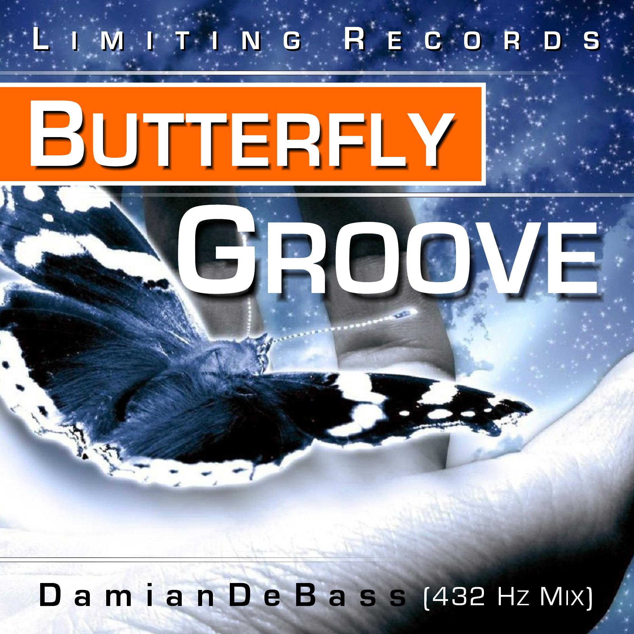 Butterfly Groove (432 Hz Mix)