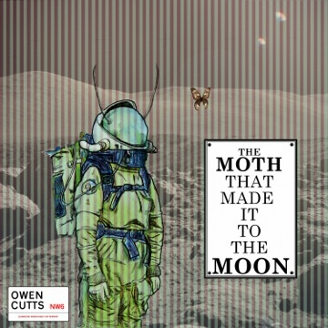 The Moth That Made It To The Moon