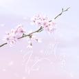 飘零