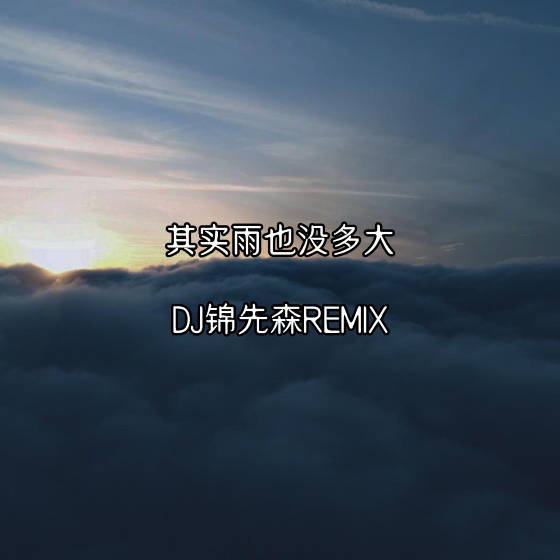 其实雨也没多大（DJ锦先森 Remix）