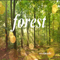 forest（Ancient）
