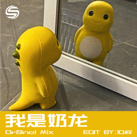我是奶龙（DJ10叔版）