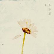 소품집