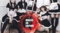 MAID IN JAPAN专辑