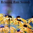 18 Relaxing Rain Sounds - No Fade专辑