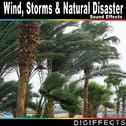 Wind, Storms & Natural Disaster Sounds Effects专辑